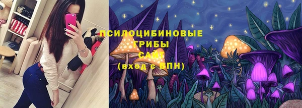 крисы Липки
