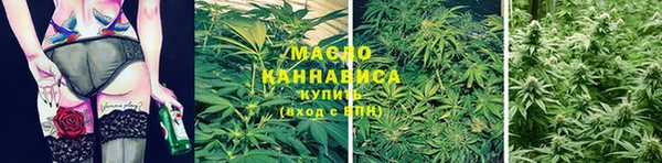 крисы Липки