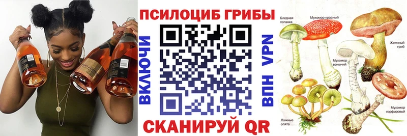 Галлюциногенные грибы Cubensis Сызрань