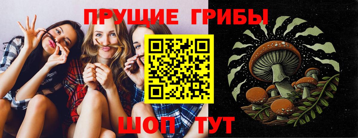 Сызрань  Псилоцибиновые грибы MAGIC MUSHROOMS  Вход с VPN 